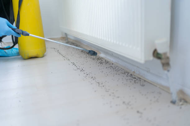Professional Pest Control in Tarentum, PA